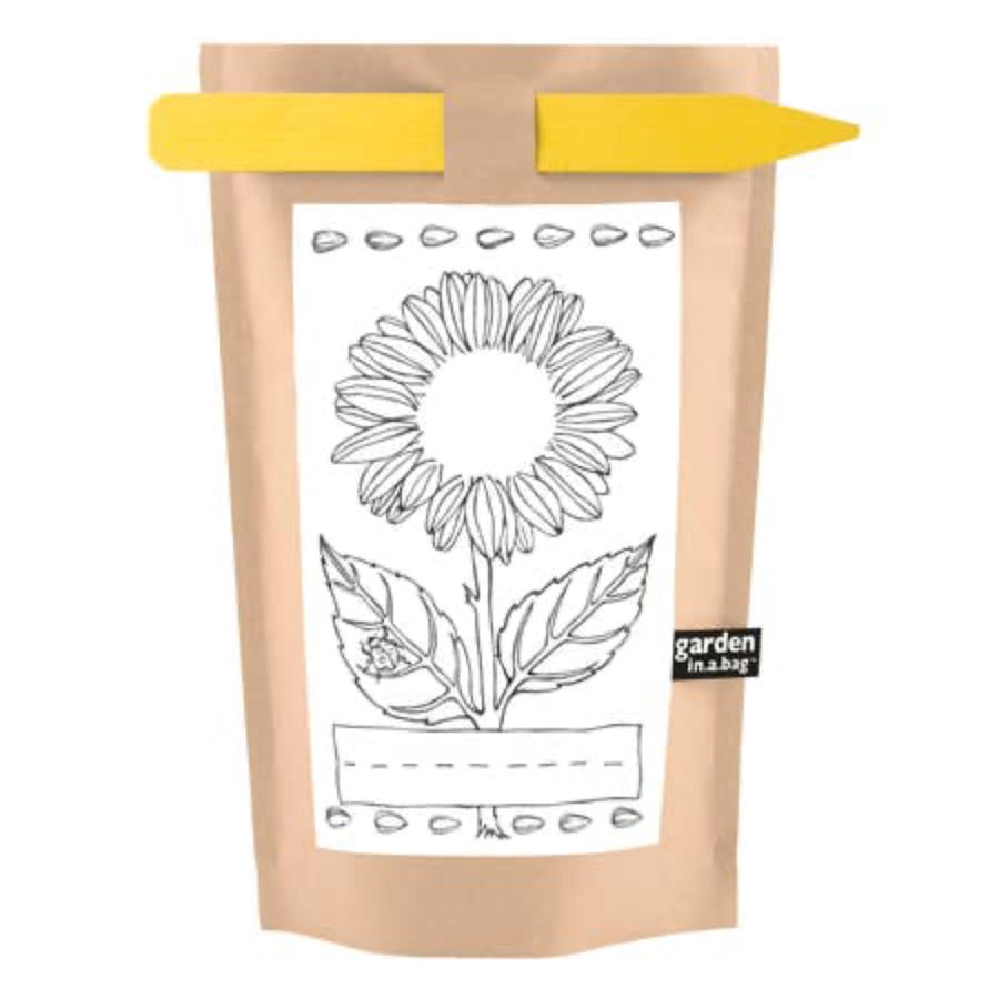 Kid's Sunflower Garden in a Bag | Potting Shed Creations, Ltd. | Camping & Garden @ Spice Craze®