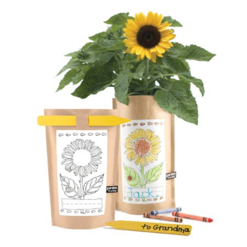 Kid's Sunflower Garden in a Bag | Potting Shed Creations, Ltd. | Camping & Garden @ Spice Craze®