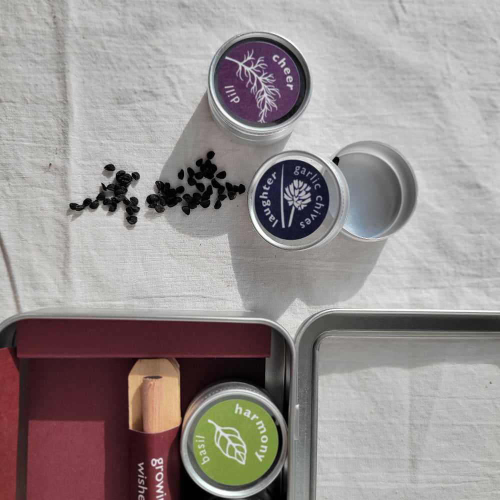 Growing Wishes Herbal Seed Kit | Potting Shed Creations, Ltd. | Camping & Garden @ Spice Craze®