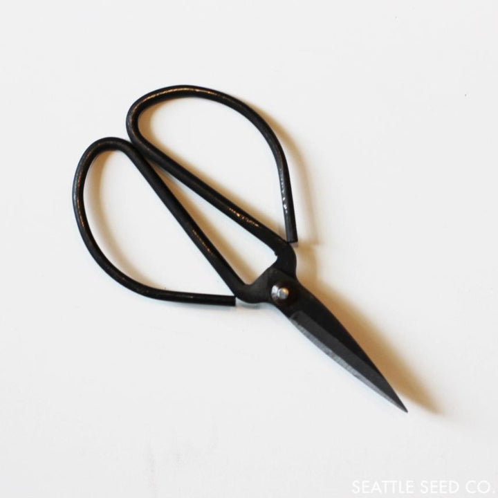 Forged Steel Pruning Shears | Seattle Seed Co. | Camping & Garden @ Spice Craze®