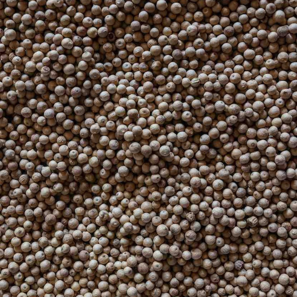 Aranya White Peppercorns | Diaspora Co. | Awesome Extras @ Spice Craze®