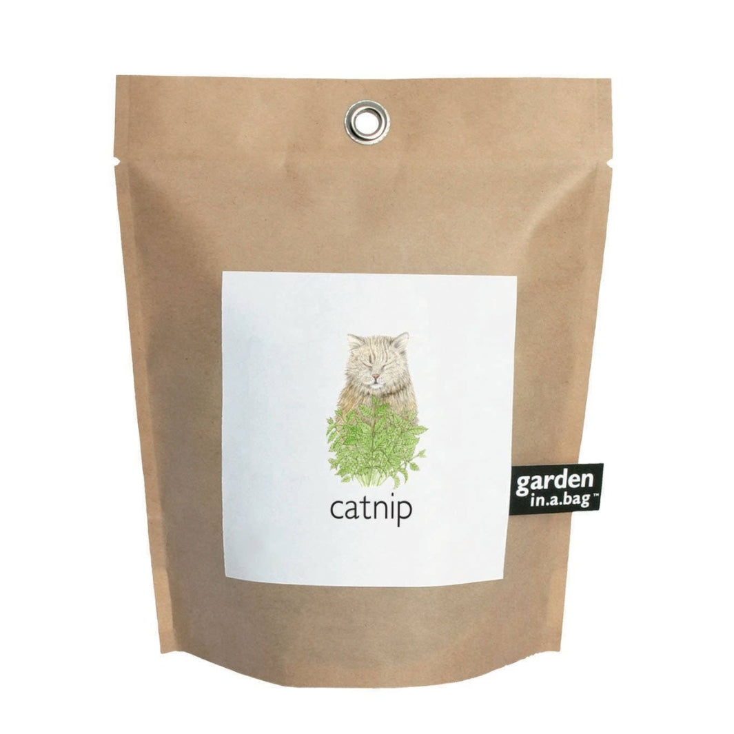 Garden in a Bag - Catnip | Potting Shed Creations, Ltd. | Camping & Garden @ Spice Craze®