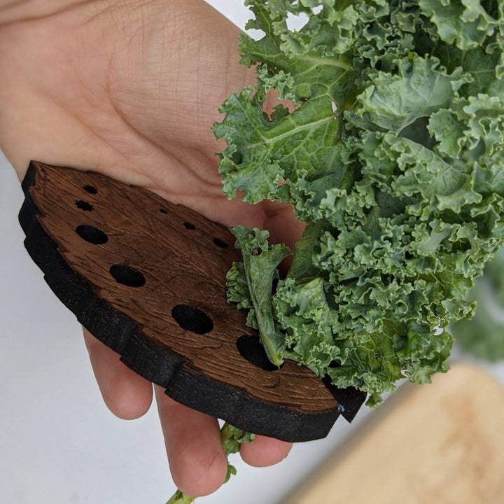 Classic Leaf Solid Walnut Herb Stripper Stripping Kale | North To South Designs | Grate, Strip, & Zest @ Spice Craze®