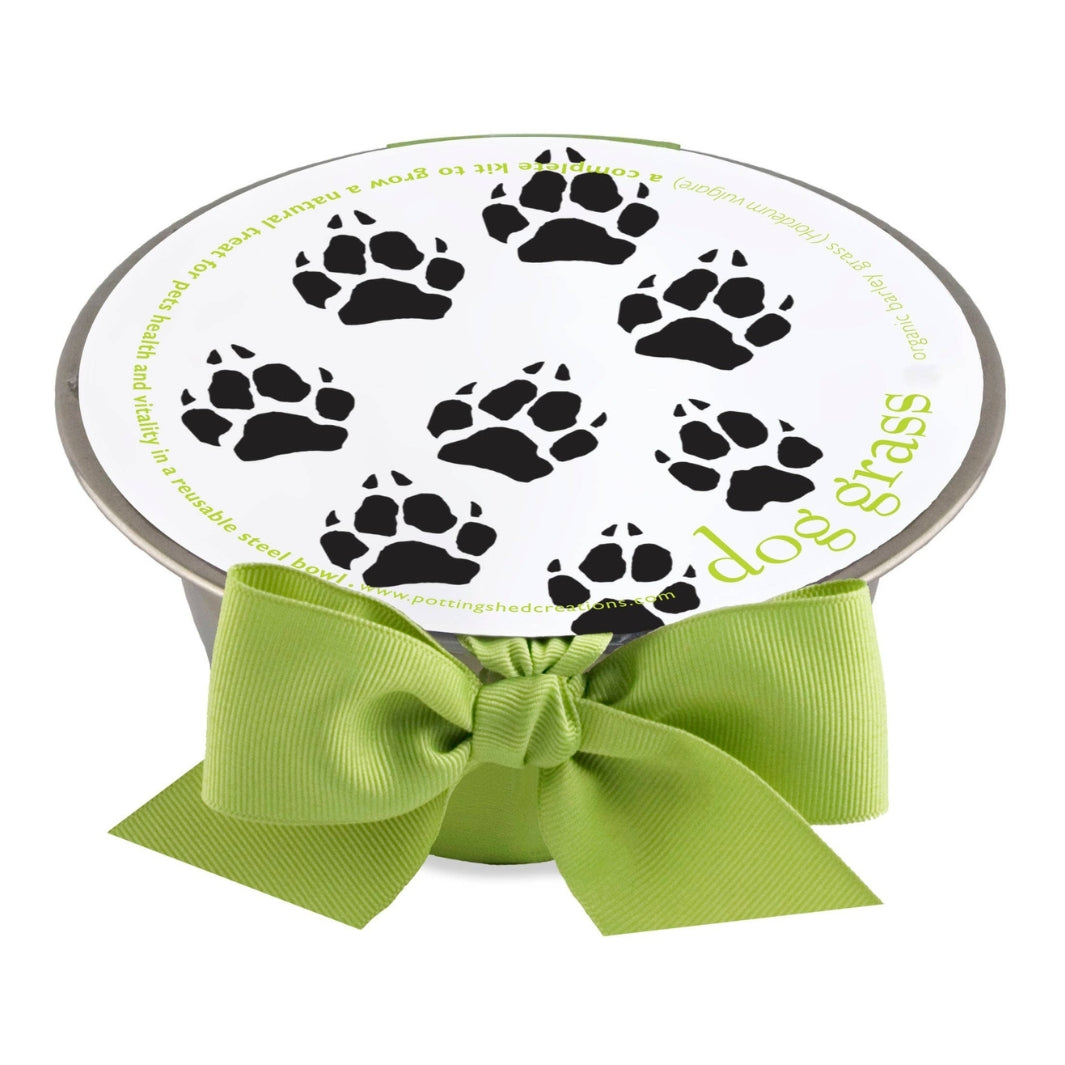 Dog Grass Pet Bowl Kit | Potting Shed Creations, Ltd. | Camping & Garden @ Spice Craze®