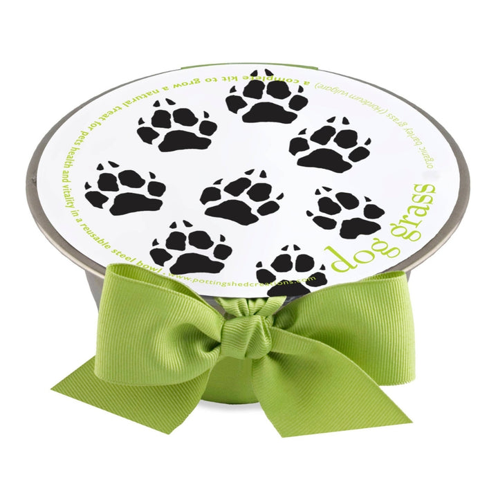Dog Grass Pet Bowl Kit | Potting Shed Creations, Ltd. | Camping & Garden @ Spice Craze®
