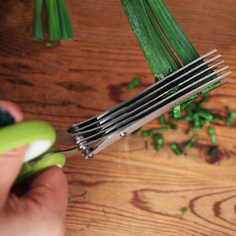 Herb Scissors Cutting Chives | Blade Cleaner/Storage Case Included | RSVP International | Prepping & Cooking @ Spice Craze®