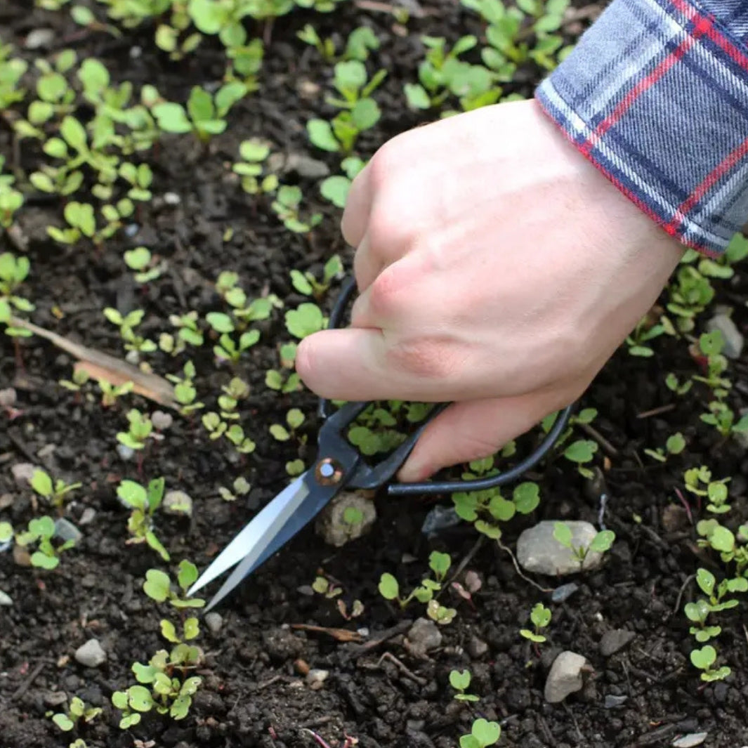 Forged Steel Pruning Shears | Seattle Seed Co. | Camping & Garden @ Spice Craze®