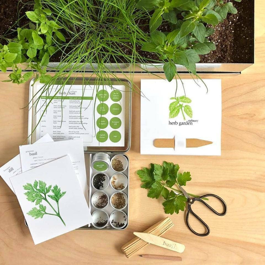 Culinary Herbs Seed Kit | Potting Shed Creations, Ltd. | Camping & Garden @ Spice Craze®