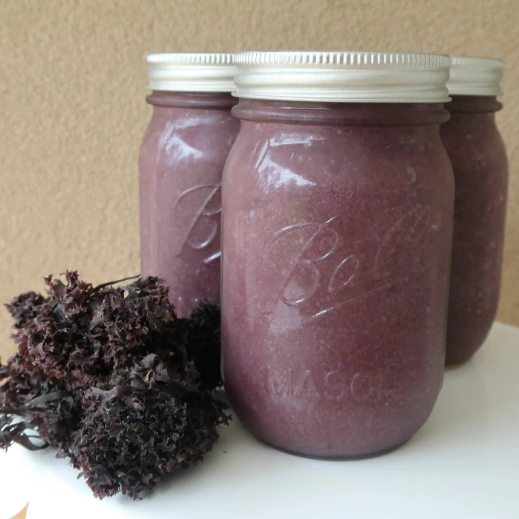 Organic Irish Moss and Sea Moss Gel | Ocean's Balance | Umami Coast @ Spice Craze®