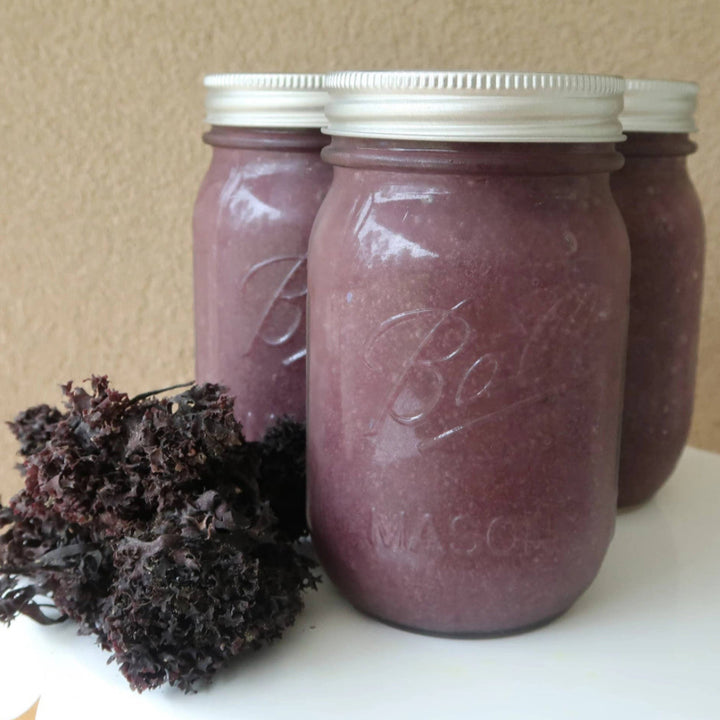 Organic Irish Moss and Sea Moss Gel | Ocean's Balance | Umami Coast @ Spice Craze®
