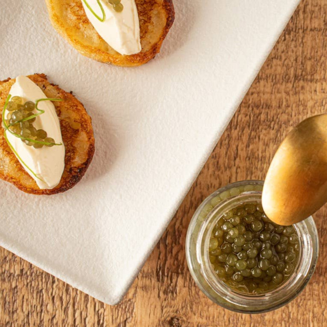 Algae Pearls | Lofoten Seaweed | Umami Coast @ Spice Craze®