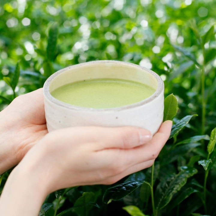 Matcha Tea in a Traditional Chawan (Matcha Bowl) | Aiya America, Inc. | Matcha, Chai, & Teas @ Spice Craze®